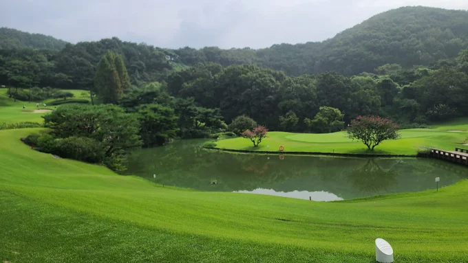 안성 파인크리크 컨트리클럽 소개 및 이용방법