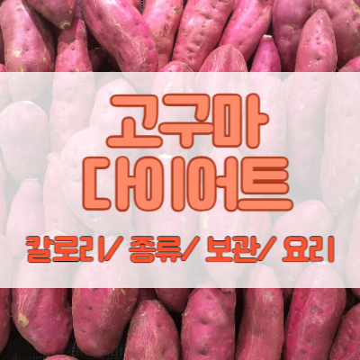 고구마 군고구마 다이어트