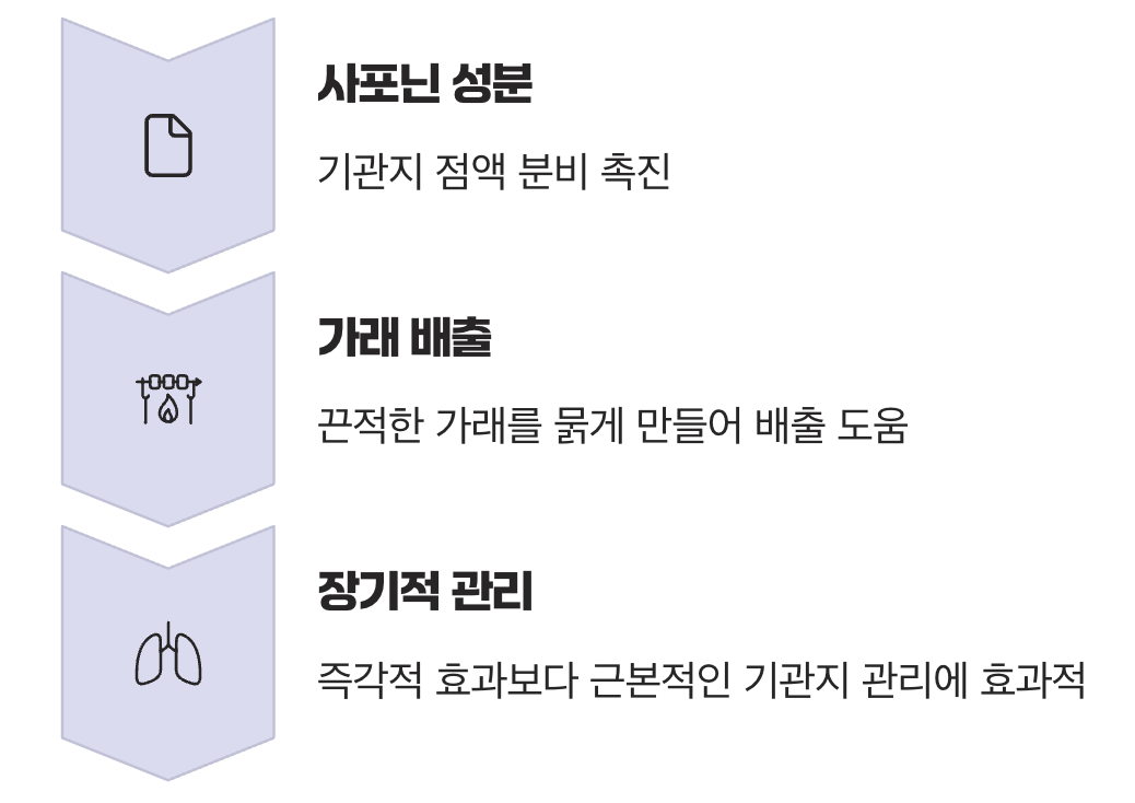 기관지 청소부, 도라지차