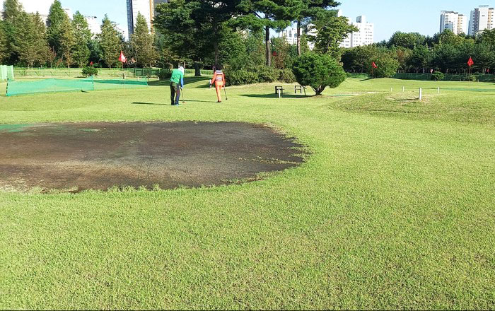 경기도 평택시 평택파크골프장 소개