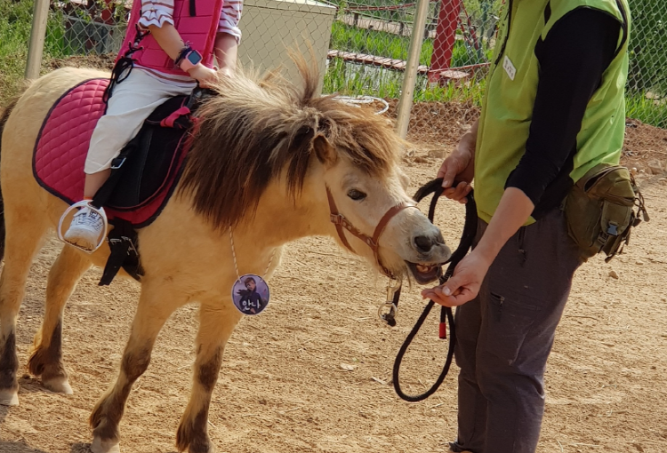 파주 퍼스트가든