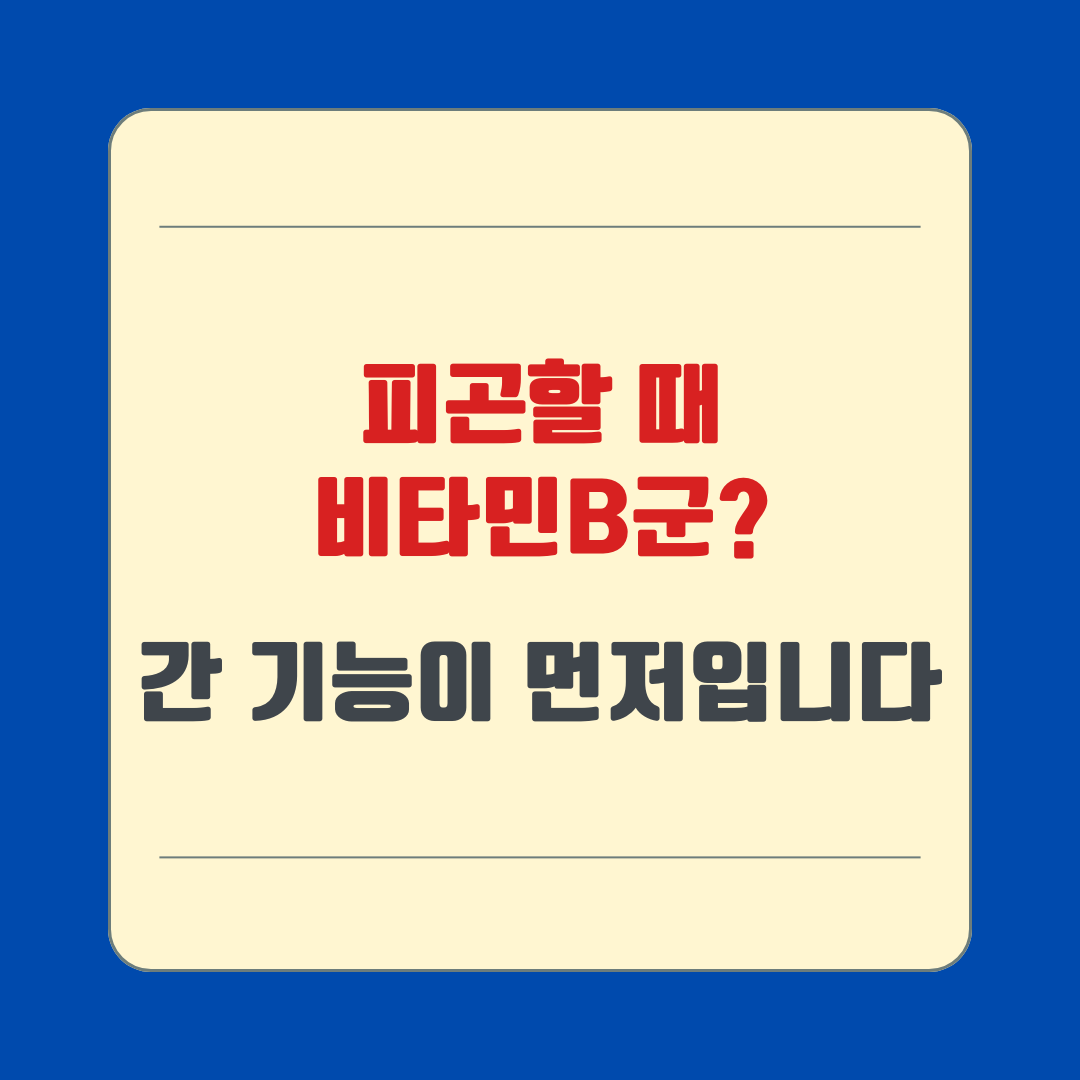 피곤할 때 비타민B군 간 기능이 먼저입니다