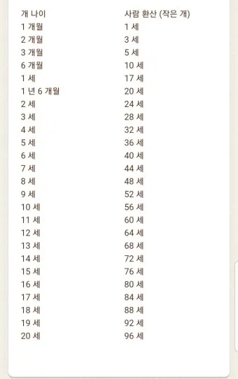 강아지 나이 환산법 가이드 실제 나이 확인 방법_16