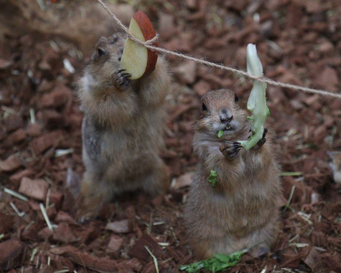 네이처파크 플라워페스티벌 2025