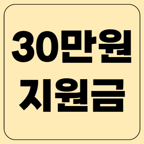 30만 원 지원금 신청하세요! 정부&middot;지자체 혜택 총정리