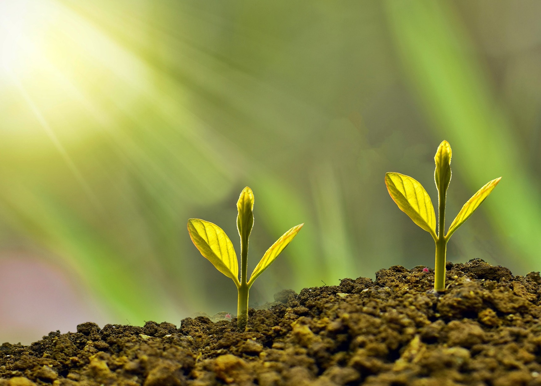 은퇴 직전 자산 리밸런싱 5단계 실전 가이드