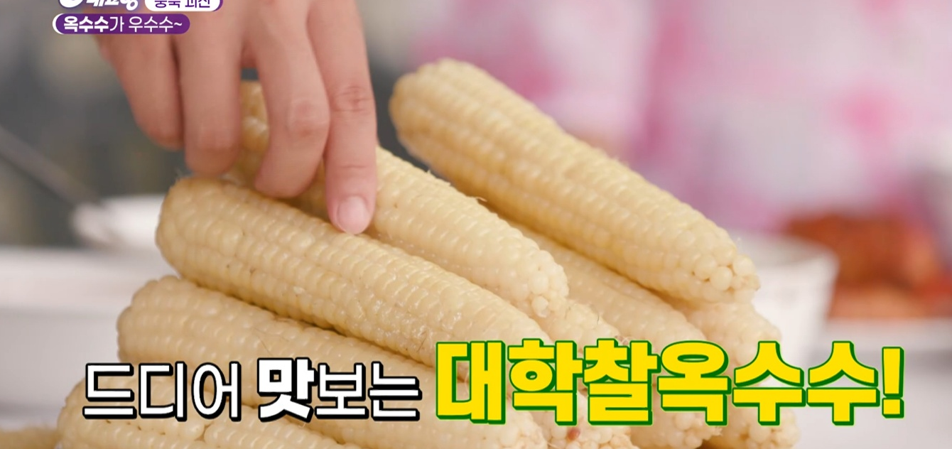 6시내고향 다시보기