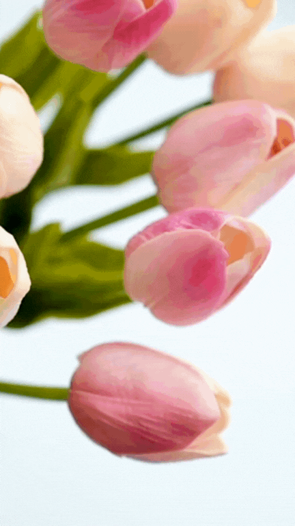 움직이는 센스있는 생일축하 이미지 메세지 카톡 문자 문구