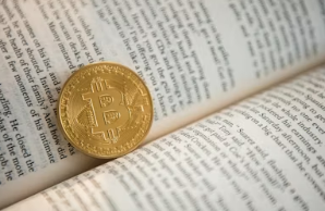 알트코인 이란 알트코인 종류 시총순위