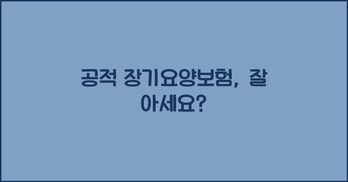 공적 장기요양보험