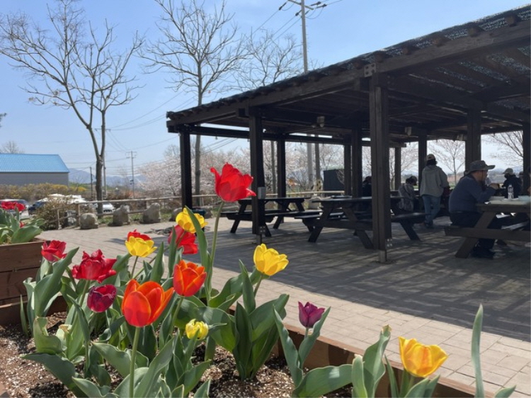 보리나라 학원농장