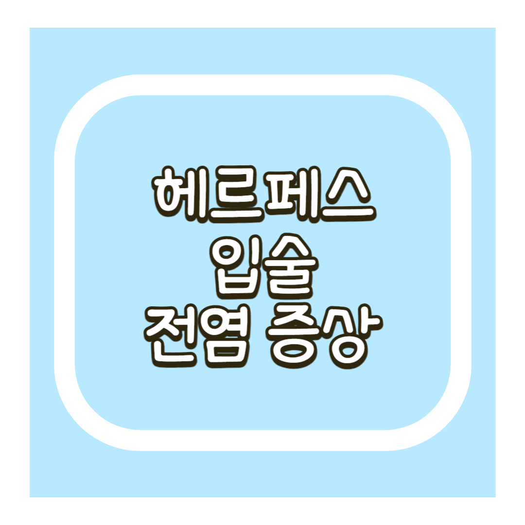 헤르페스 입술 전염증상