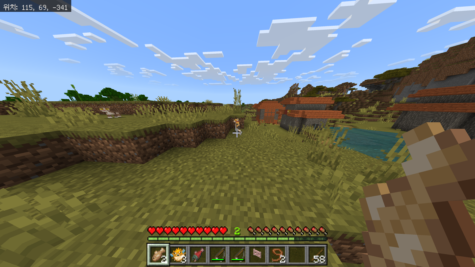 고양이를 찾고 길들이는 방법