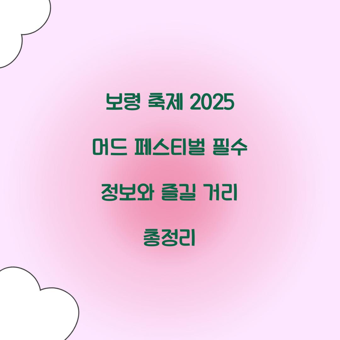 보령 축제 2025 머드 페스티벌