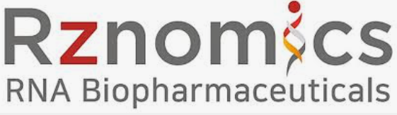 2026년 11월 신규 상장 주식 종목