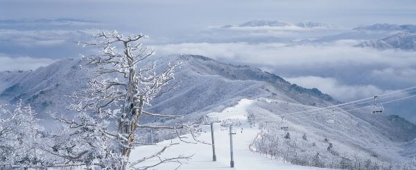겨울여행 떠나고 싶은 곳 베스트 3. 덕유산