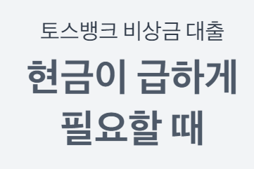 300만원 대출
