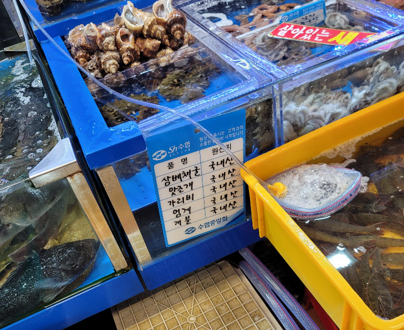 노량진 우정수산 원산지