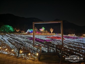 낭만등불축제