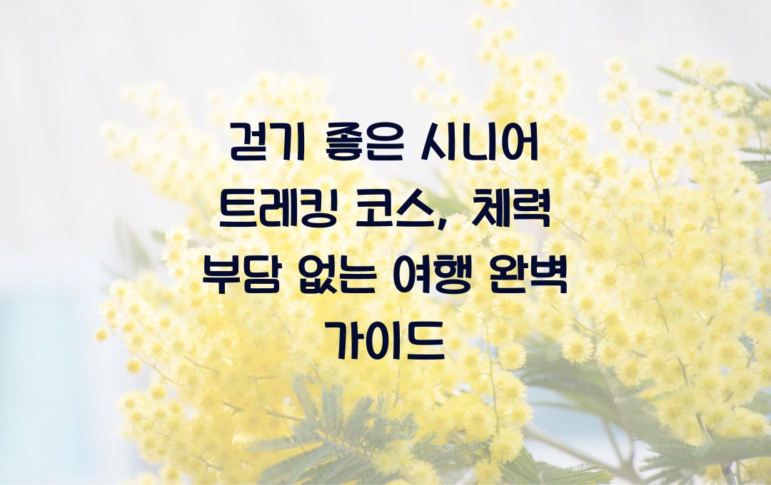 걷기 좋은 시니어 트레킹 코스, 체력 부담 없는 여행
