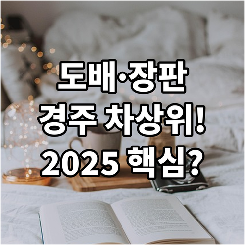 도배 장판 교체 필수! 2025 경주..
