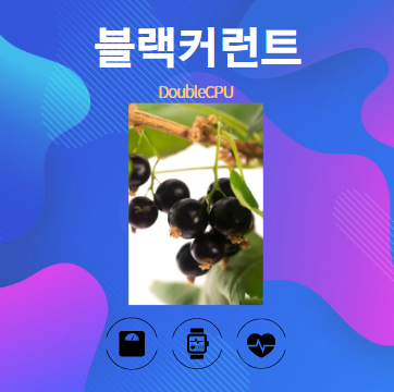 블랙커런트 알아보기