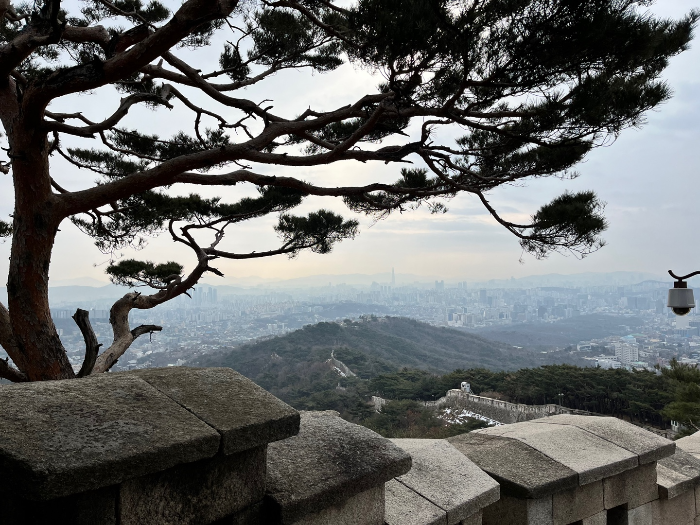 멋진 전경