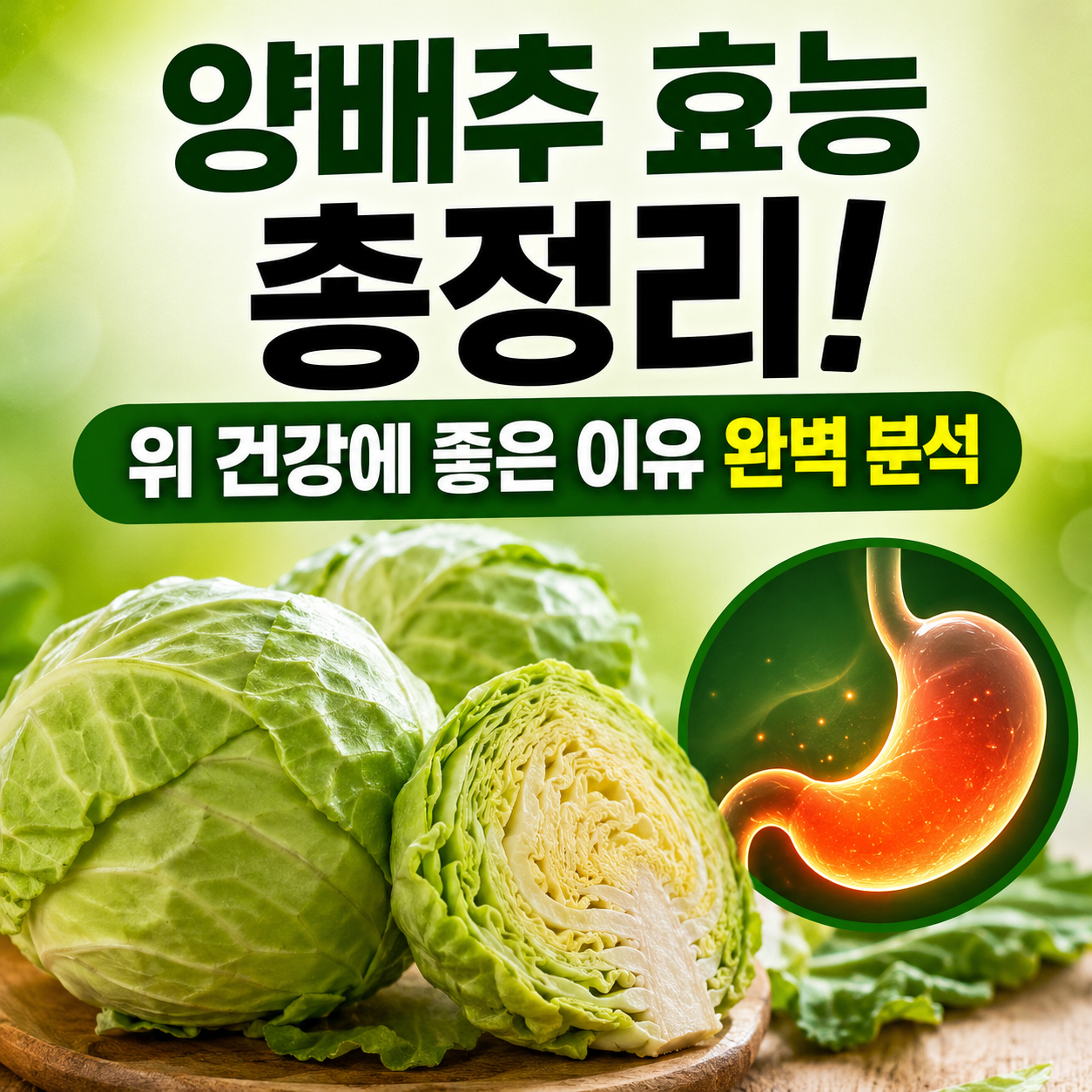 양배추 효능