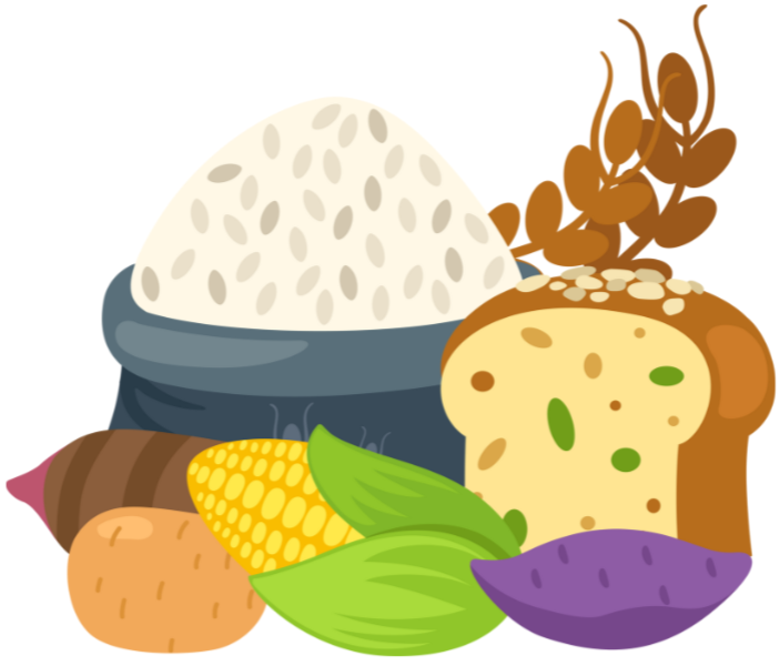 탄수화물, 꼭 줄여야 하나요? 밥·빵·면을 건강하게 먹는 법