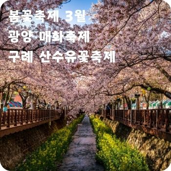 봄꽃축제 3월 광양 매화축제 구례 산수유꽃축제