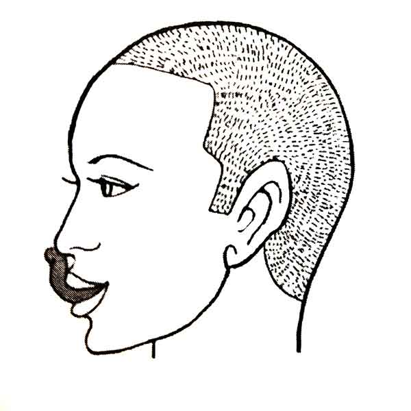 혀관상 긴혀 모양