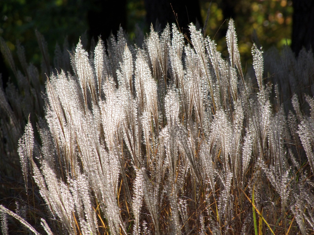 태안 여행 관련 사진 (팜파스)