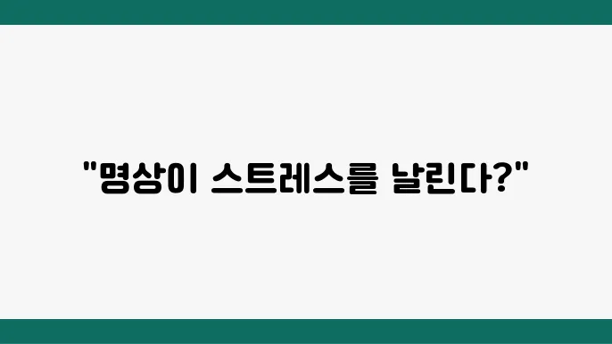 스트레스 관리에 용이한 다양한 명상 앱