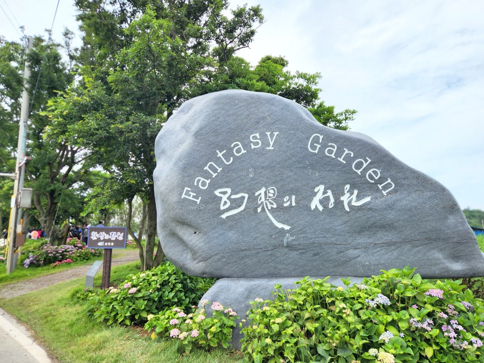 신안 도초도 수국 축제
