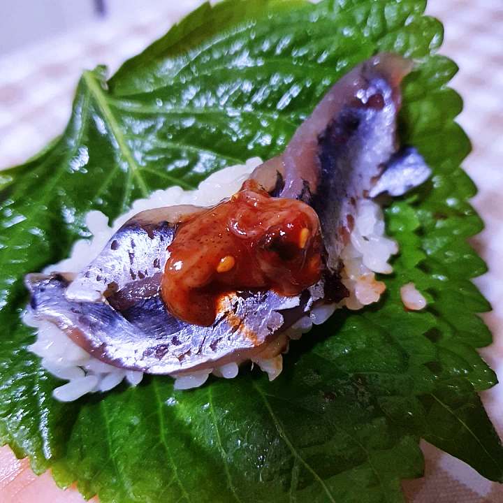 백반기행 조성모 편 생 멸치회 정식 정성가득 계란말이 반찬 경주 맛집 소개