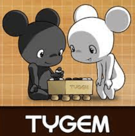 타이젬 바둑 설치 후 바로!바둑 실력 향상 끝판왕 비법