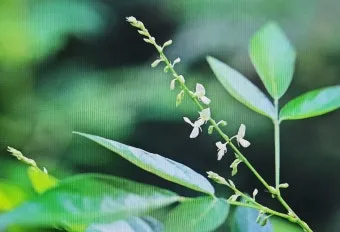 구더기 생기는 이유 방지 방법 정리_12