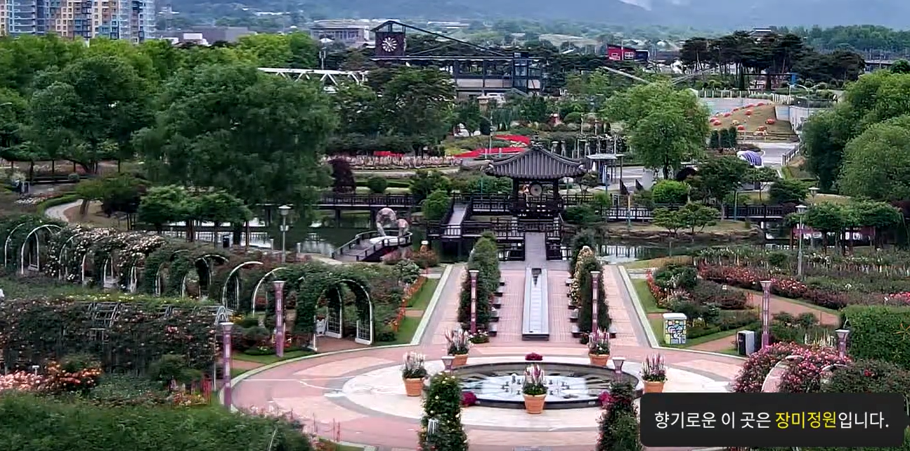 곡성기차마을 장미정원 풍경