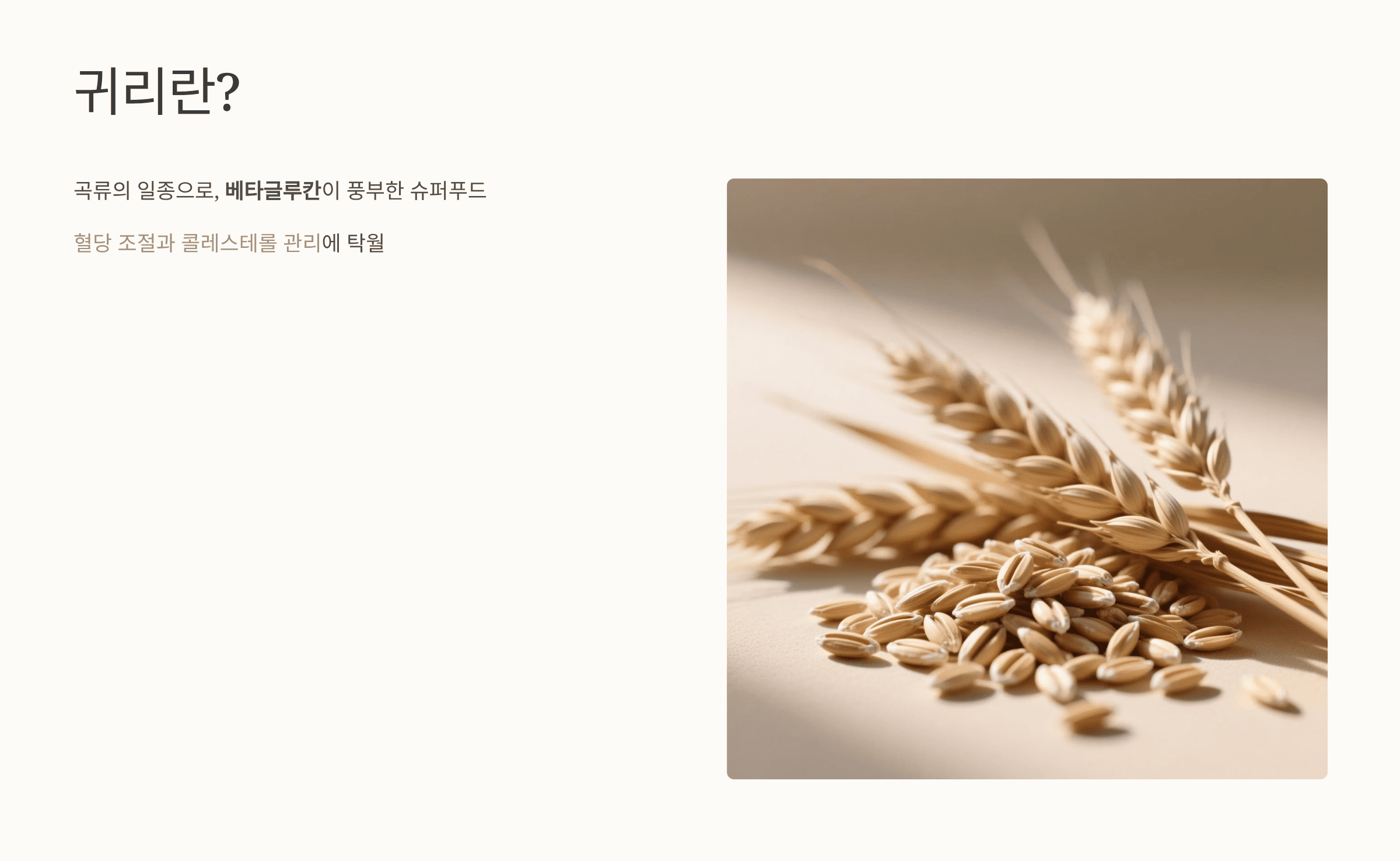 귀리 사진입니다.