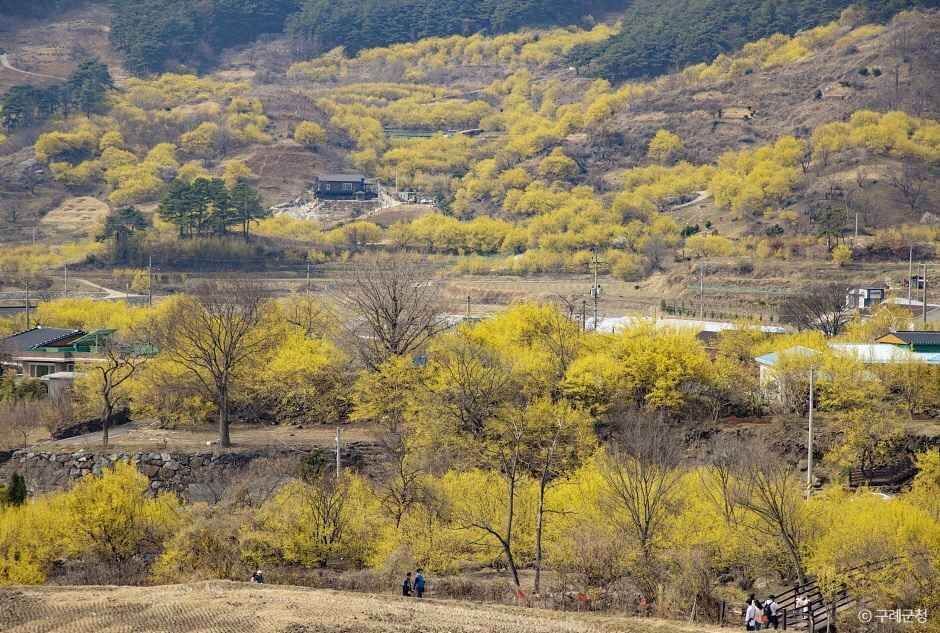 구례 가볼만한곳 베스트 10