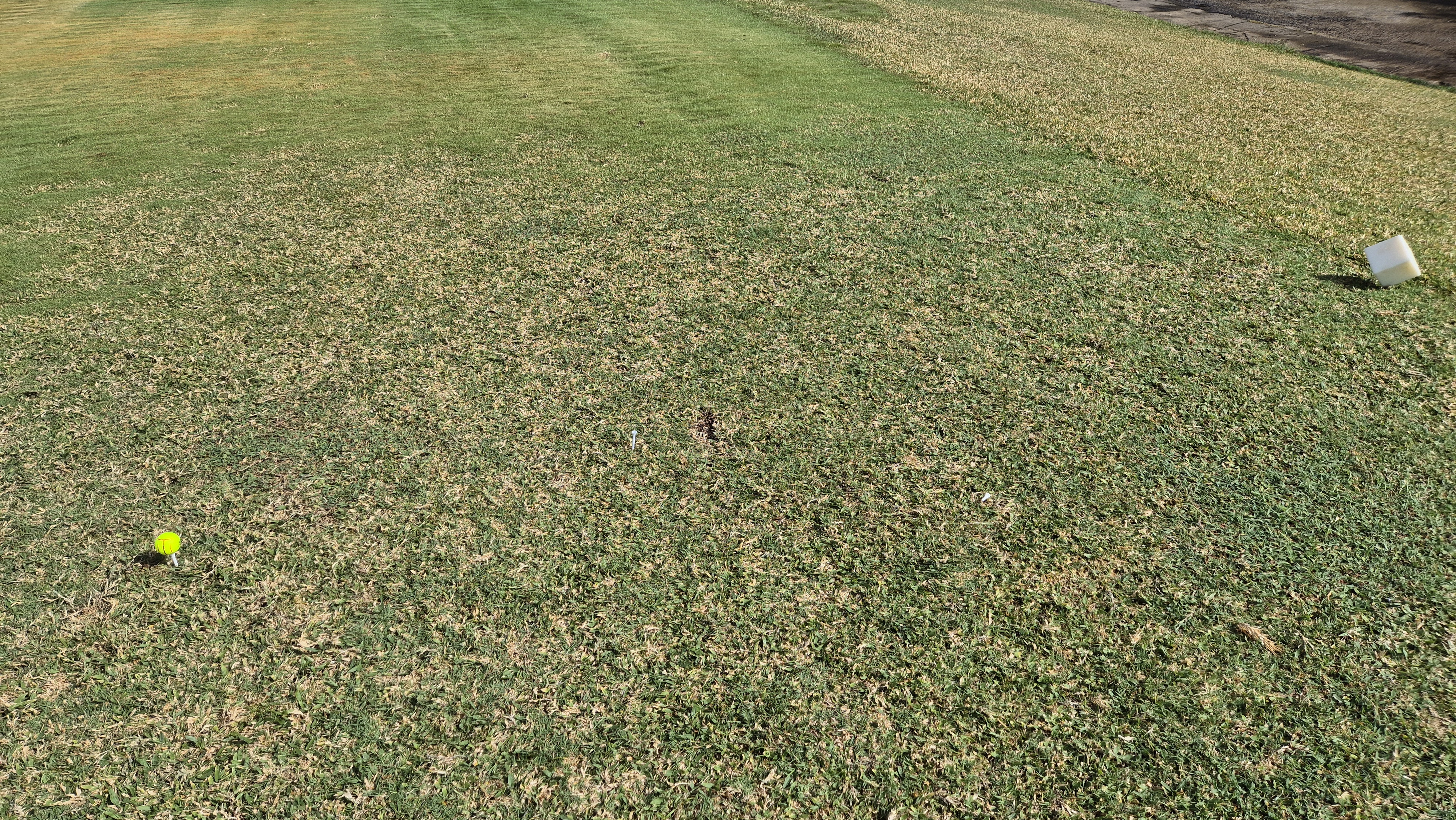 코랄오션cc 골프 라운드