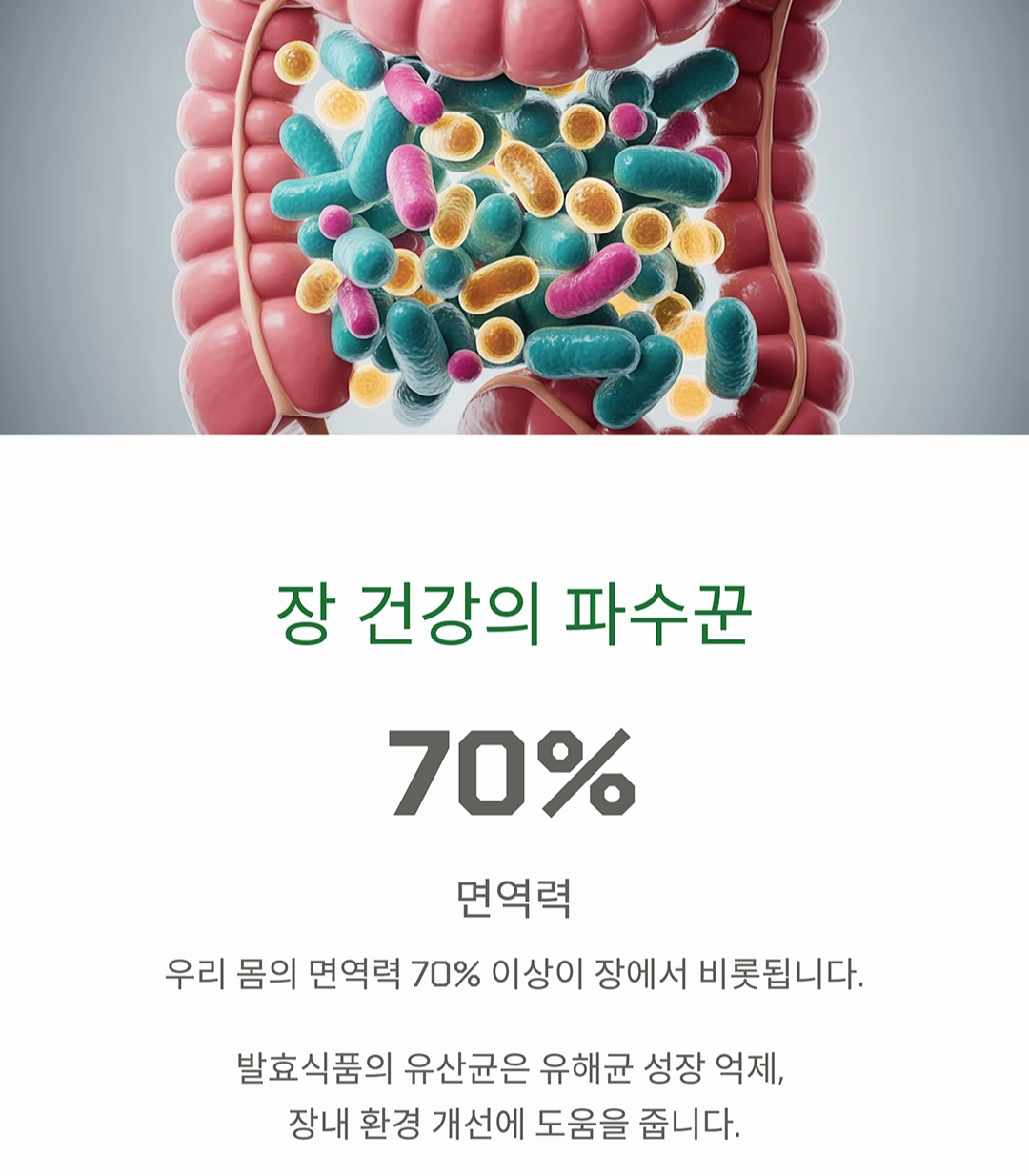 장수의 비밀, 발효식품의 놀라운 건강효과