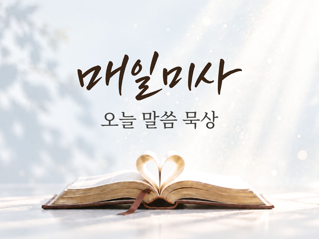 2026년 10월 8일 매일미사 오늘의 복음과 말씀 묵상