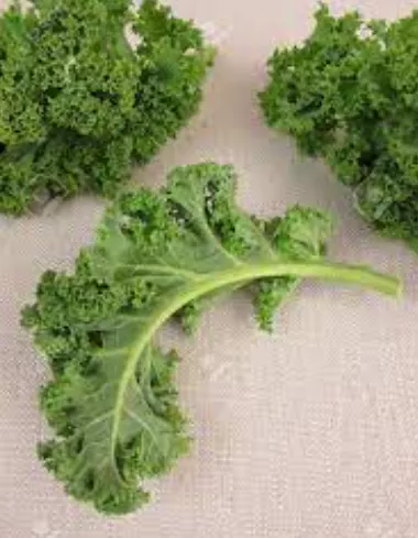 무릎-관절에-좋은-음식-건강