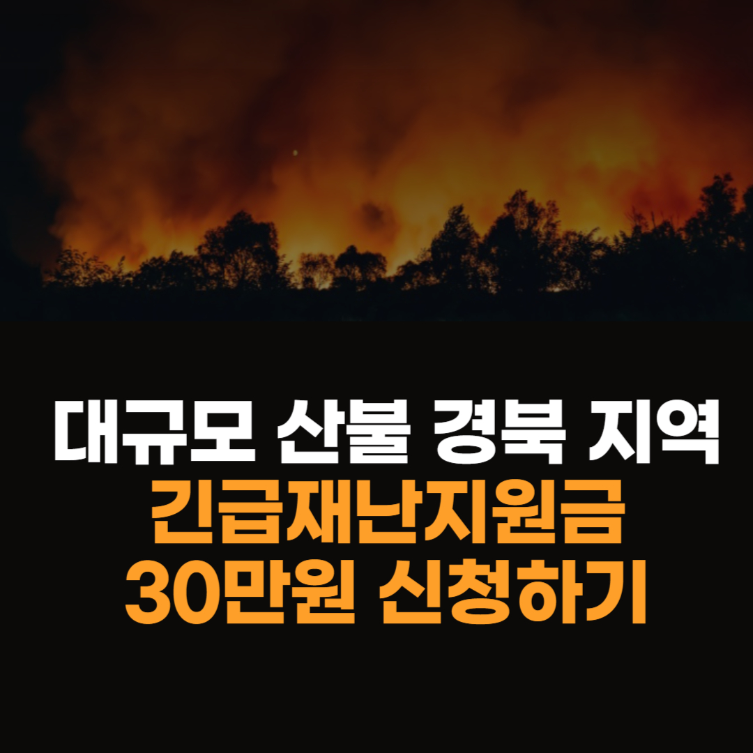경북지역 긴급재난지원금 30만원 신청하기