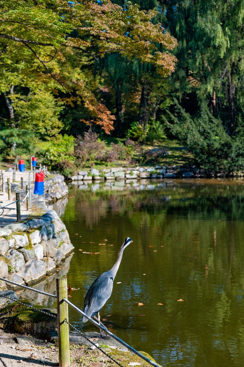 창경궁야간개장19