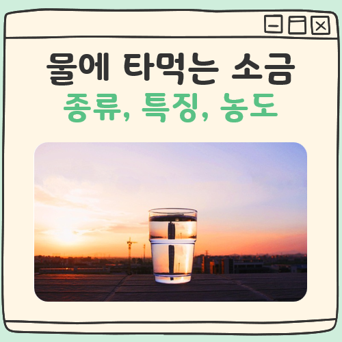 물에 타먹는 소금 종류 특징 농도