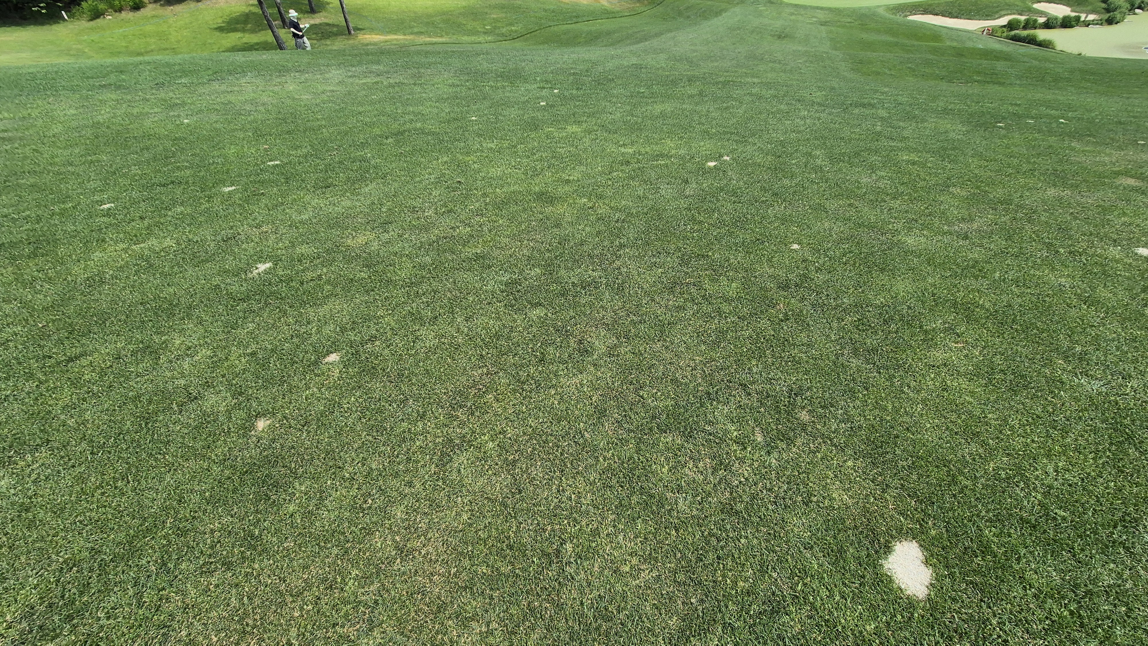 파인리즈cc 라운드 후기