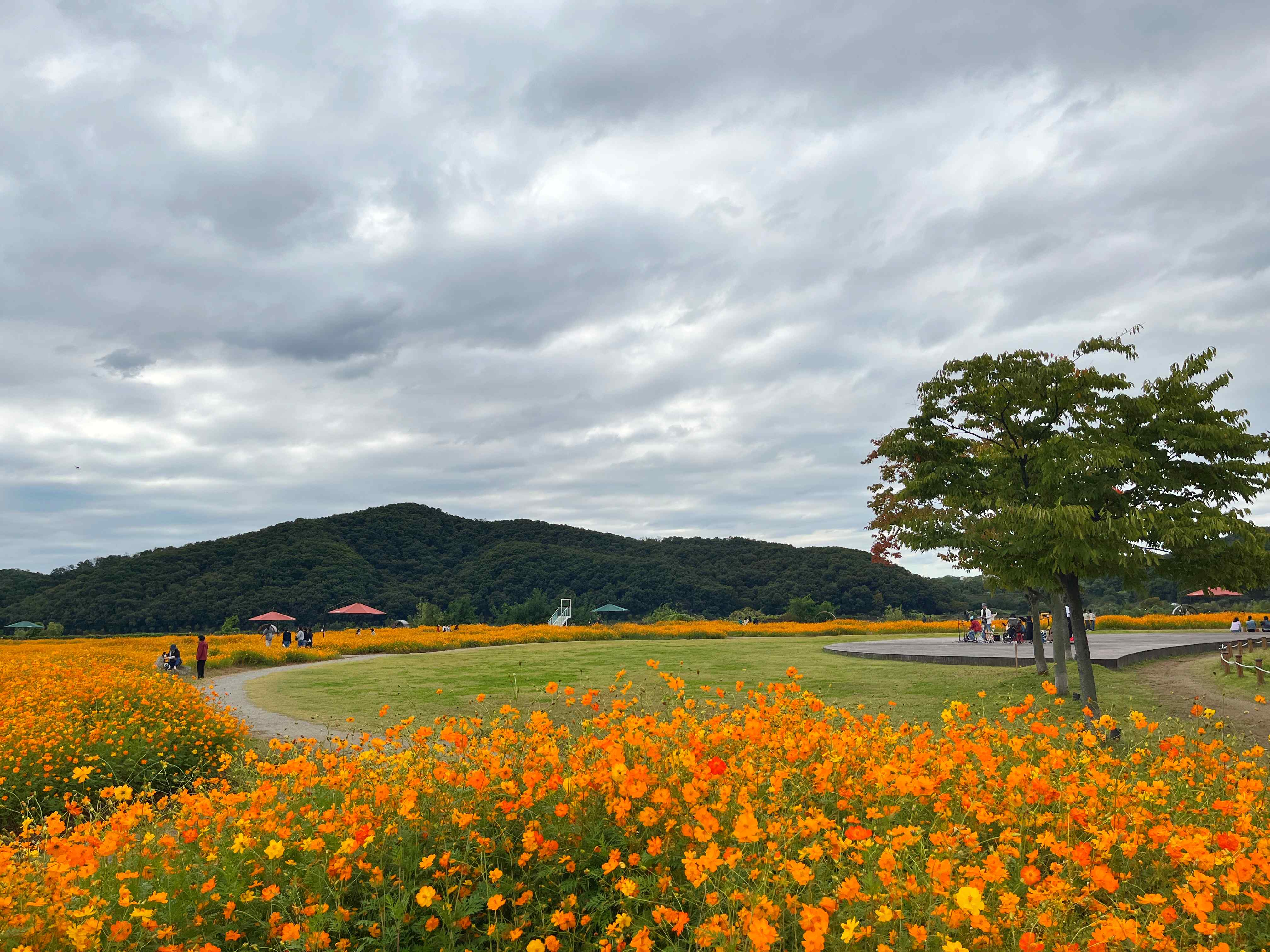 용인 기흥 호수공원