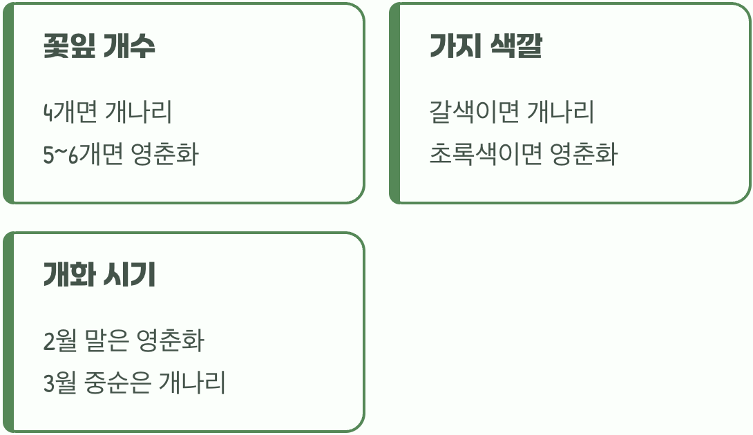 이제 당신도 봄꽃 전문가